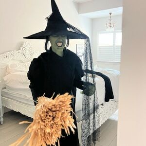 Officially licensed Wizard of Oz Witch animated - Black